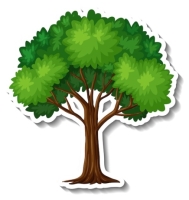 Дерево картинка Изображения – скачать бесплатно на Freepik